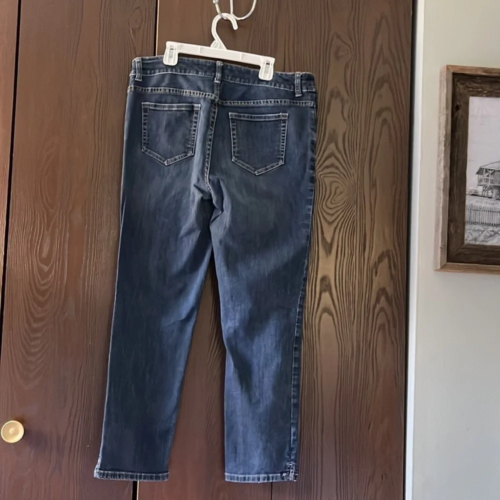 Chicos chico’s platinum